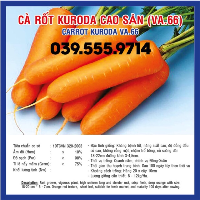 HẠT GIỐNG CÀ RỐT KURODA CAO SẢN (VA.66) – 10GRAM