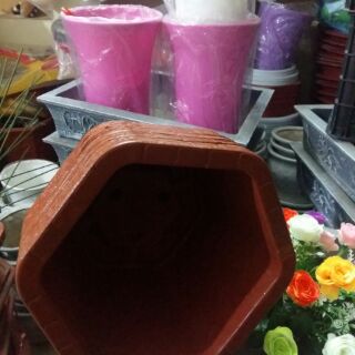 10 Chậu lục giác