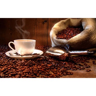 Cà phê Mr.Việt hương Chồn 250g