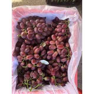 (HN) Nho Ruby Không Hạt Giao Siêu Tốc 1h