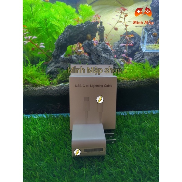 Bộ sạc nhanh IP 20W cáp lighting Type C