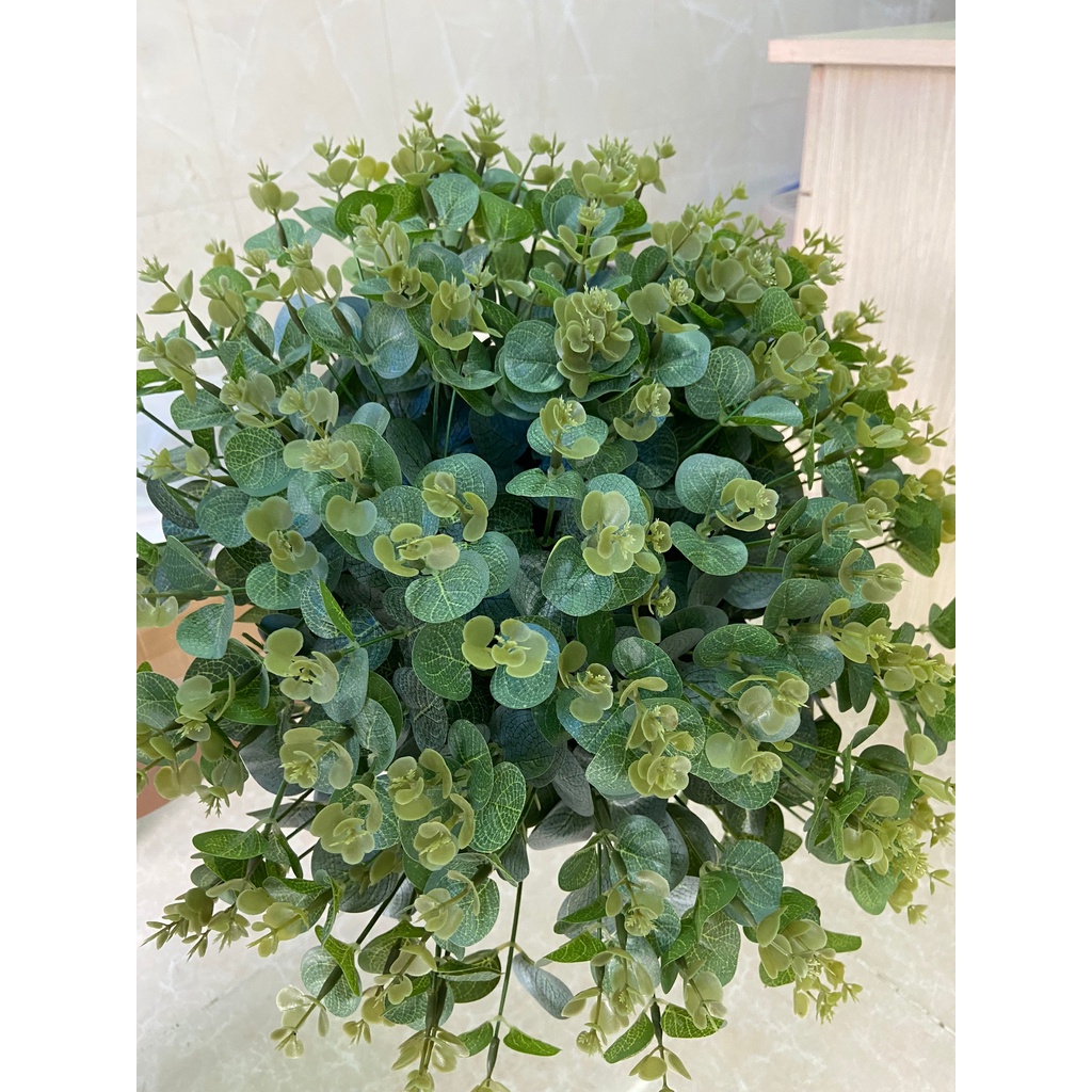 Lá Táo - Lá Mimosa Cắm Hoa Giá Rẻ