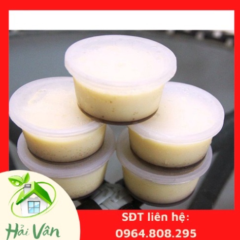 [Tặng 5 thìa] Combo 10 Hộp Nhựa, Hủ nhựa làm Caramen (Flan) loại tròn - Gia dụng Hải Vân - Ngọc Vân 