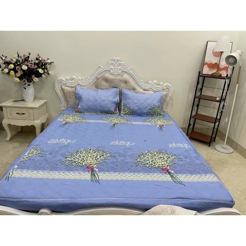 (Set 5 món) Bộ Chăn Ga Gối Trần Bông Đủ size(ga chun trần bông)