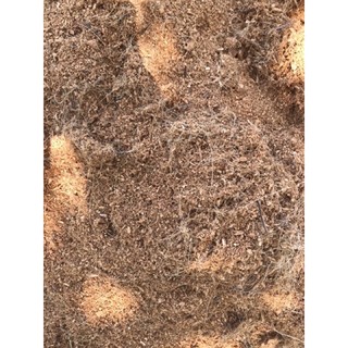 500gr Sơ dừa bón cây