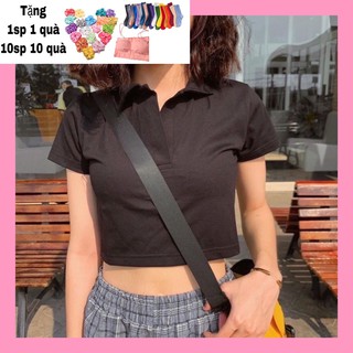Áo croptop polo cổ bẻ thun gân dày dặn - Dư Tú Lệ