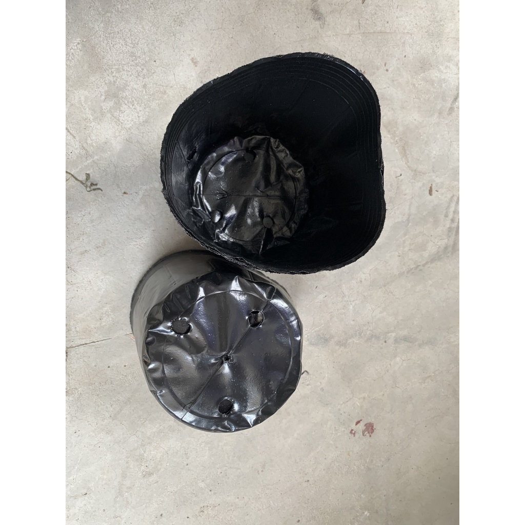 BẦU ƯƠM CÂY 18*16 ( DỊCH TRUYỀN CHO CÂY, KÍCH RỄ , MẦM CÂY XANH LÁ, LƯỚI CHE NẮNG...)