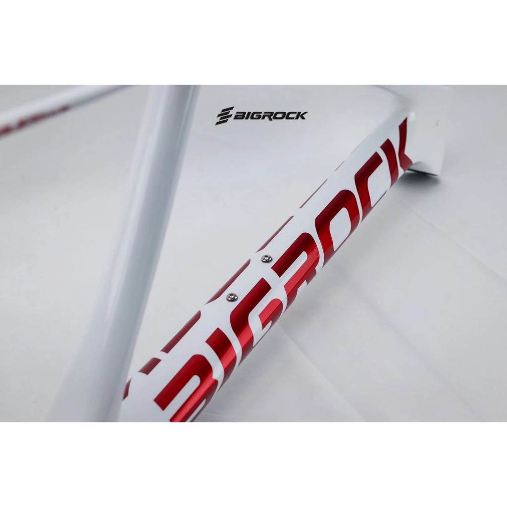 Khung Sườn Xe Đạp Mtb Bigrock Carbon 27.5 29" - Trắng Đỏ