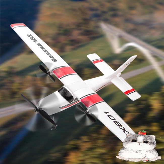 Máy Bay Đồ Chơi Điều Khiển Từ Xa Fx801 Rc Epp 2.4g 2ch