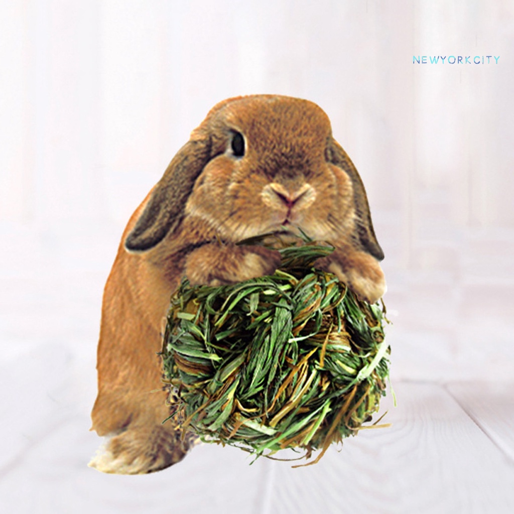 Đồ Chơi Tập Nhai Cho Thú Cưng Bằng Rơm Đan Thủ Công