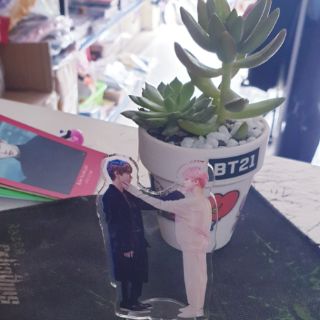 Tượng đứng BTS Persona, 5TH Muster standee