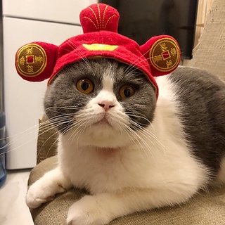 Thời Trang Cho Thú Cưng Vừa Và Nhỏ Mũ đội Mũ Mèo Dễ Thương Chất Liệu Mềm Mại Cho Mùa Thu Và Mùa đông ấm áp Mũ