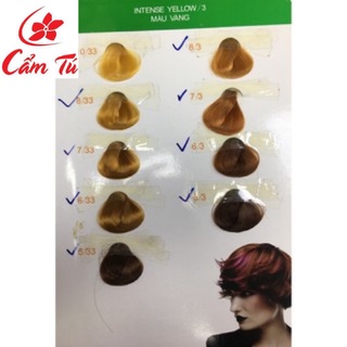 Thuốc Nhuộm Tóc Everflo - mpcamtu