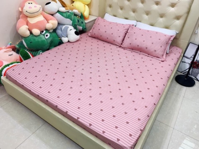 Bộ Ga Gối Cotton Poly Hàn Quốc - Được Chọn Mẫu