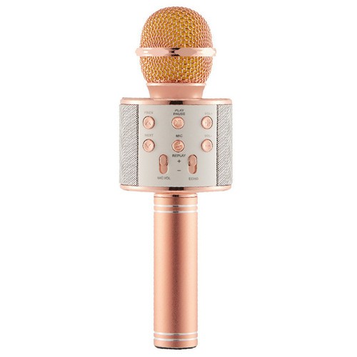 [Mã ELHACE giảm 4% đơn 300K] Mic Hát Karaoke Kèm Loa Bluetooth WS-858 Đa Năng