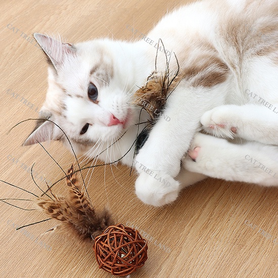 ĐỒ CHƠI CHÓ MÈO VỜN BẮT, BÓNG ĐAN BẰNG MÂY CÓ LÔNG VŨ,CHUÔNG LỤC LẠC