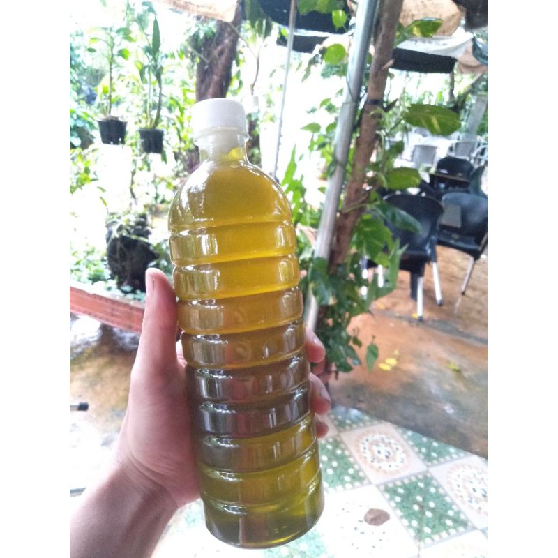 Mật ong hoa bạc hà 1lit nguyên chất có giấy cam kết | BigBuy360 - bigbuy360.vn