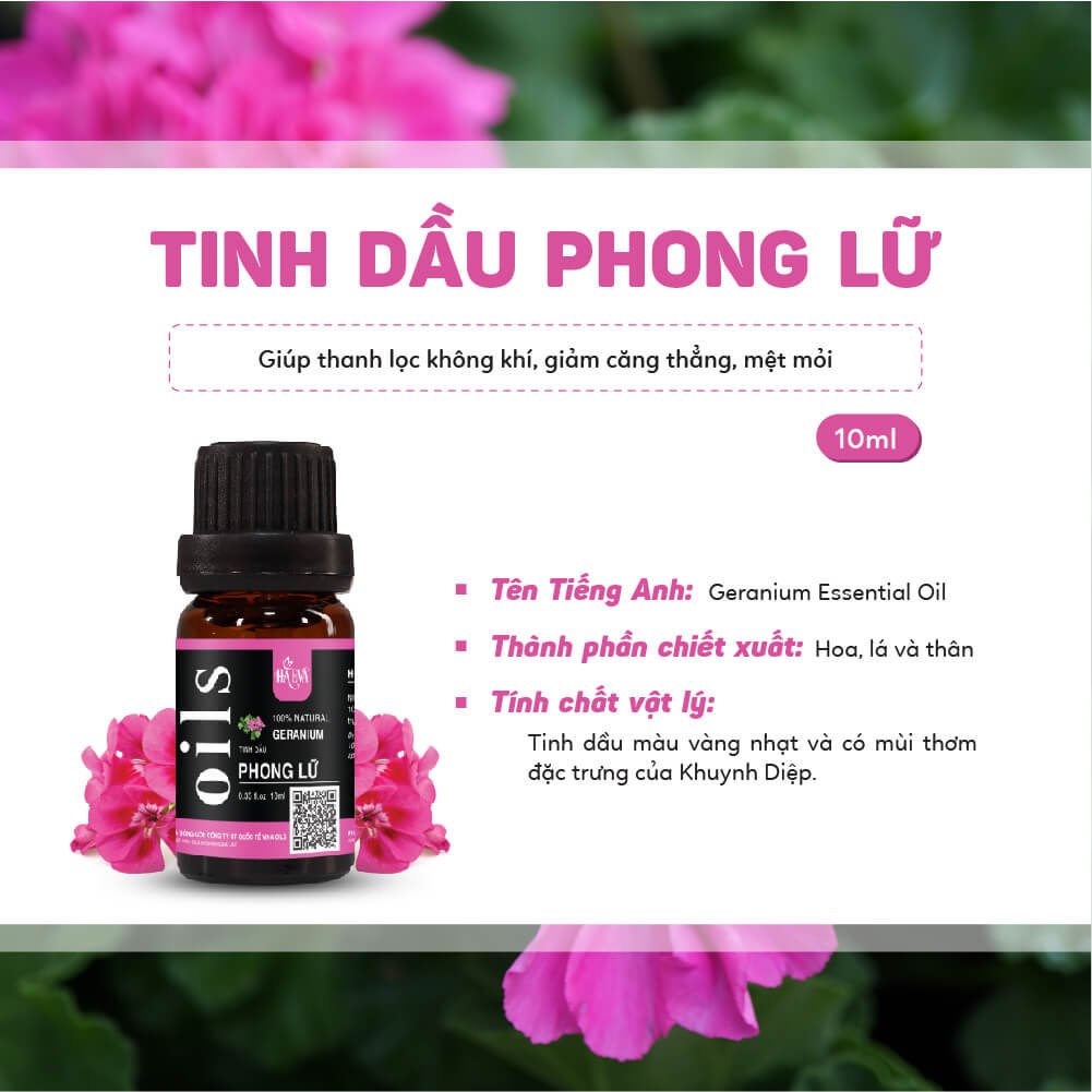 Tinh dầu xông Phong Lữ Haeva Cao Cấp,100% Thiên Nhiên, giúp thanh lọc không khí, giảm căng thẳng, Chai 10ml/30m/100ml