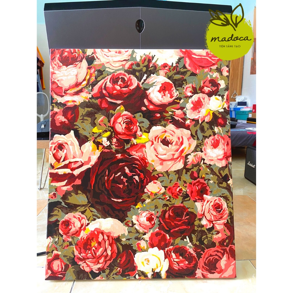 Tranh tô màu 40x50cm có khung Hoa hồng đua sắc T1029