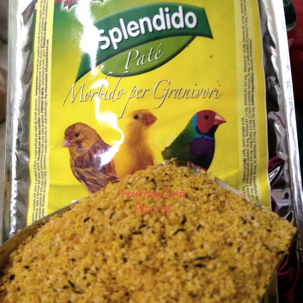 Cám trứng cho chim yến hót, exotic species, lovebirds, neophema, cockatiel, yến phụng...Cám trứng SPLENDIDO manitoba