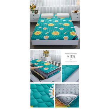 Đệm thảo dược Natural chống muỗi hàng nhập khẩu