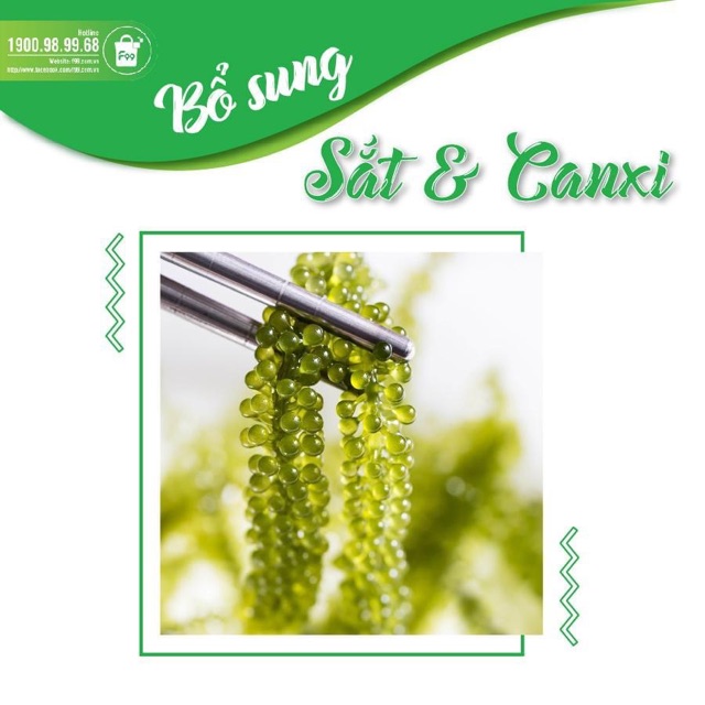 Rong nho tách nước Sabudo nhật Bản Hộp 12 gói (240gr) + tặng 1 chai sốt mè rang 180ml kewpie | BigBuy360 - bigbuy360.vn