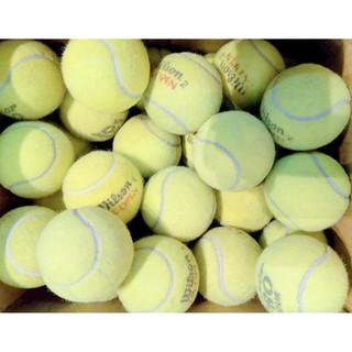 BÓNG TENNIS CỦ 1 trái (sỉ = lẻ)