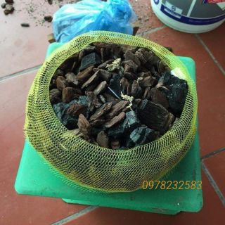 Combo 10 túi lót chậu - Túi lưới lót chậu - hoa Lan 1k/ chiếc.