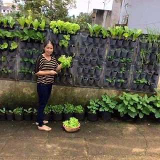 TÚI TRỒNG CÂY TRỒNG RAU TREO TƯỜNG 20 Ô SIÊU TIỆN LỢI