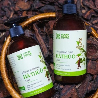 Dầu gội hà thủ ô 2 in 1