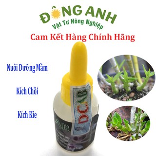Dưỡng chất AB nuôi dưỡng mầm, kích chồi và kích kie cho phong lan 10 ml