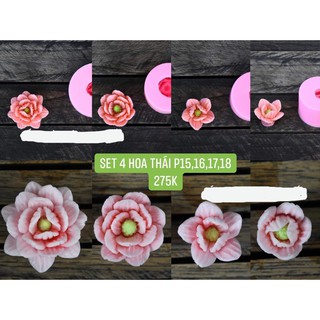 Bộ 4 khuôn silicon Hoa Thái nhụy tròn cánh nhọn (P15, P16, P17, P18) tạo hình cho bánh rau câu 3D, 4D