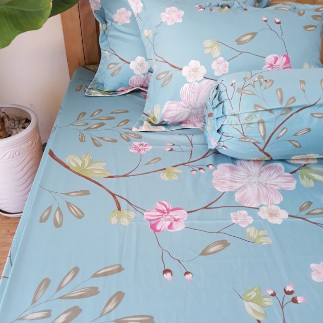 Bộ ga gối cotton hàn quốc
