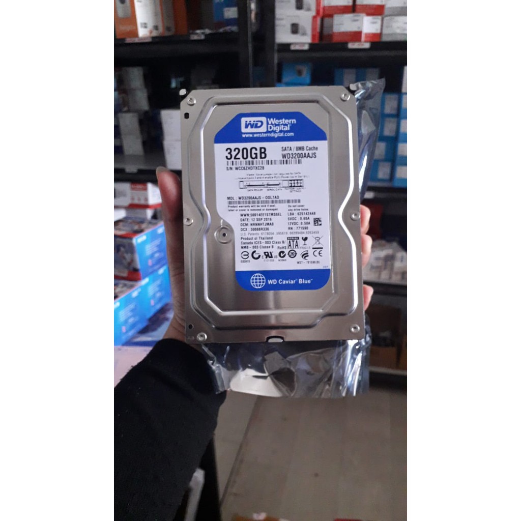 Ổ Cứng Wd Blue 320 Gb 3.5 Inch | BigBuy360 - bigbuy360.vn