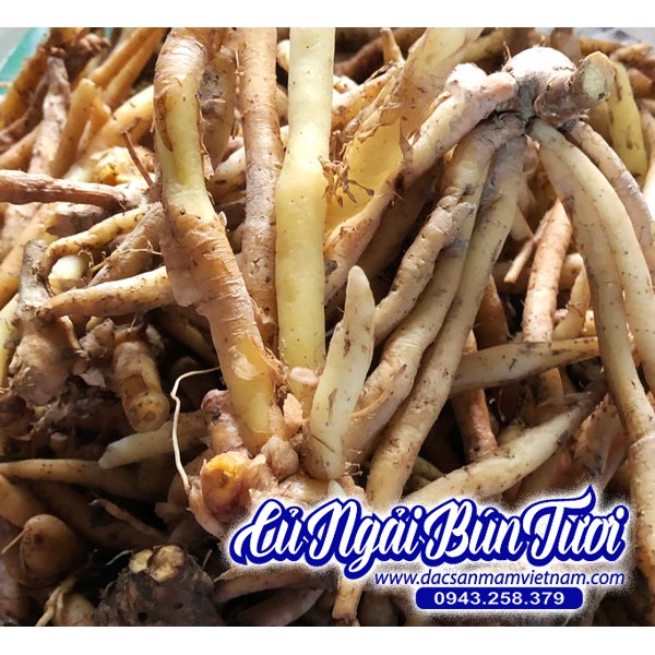 Củ ngải bún tươi