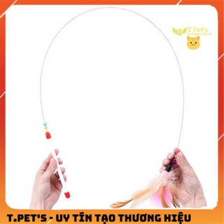 CẦN CÂU MÈO DÂY THÉP.