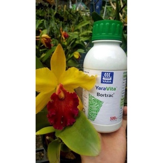 Phân bón lá chống rụng hoa ,rụng trái non BOTRAC