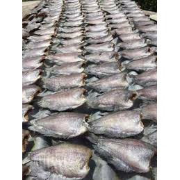 500gram KHÔ CÁ SẶC ĐẶC SẢN ĐỒNG THÁP LOẠI NGON SIZE ( 12-14 CON ) | BigBuy360 - bigbuy360.vn