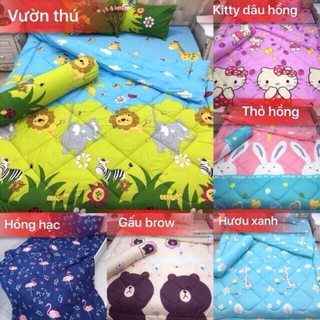 Bộ chăn phao ga gối poly (5 món)