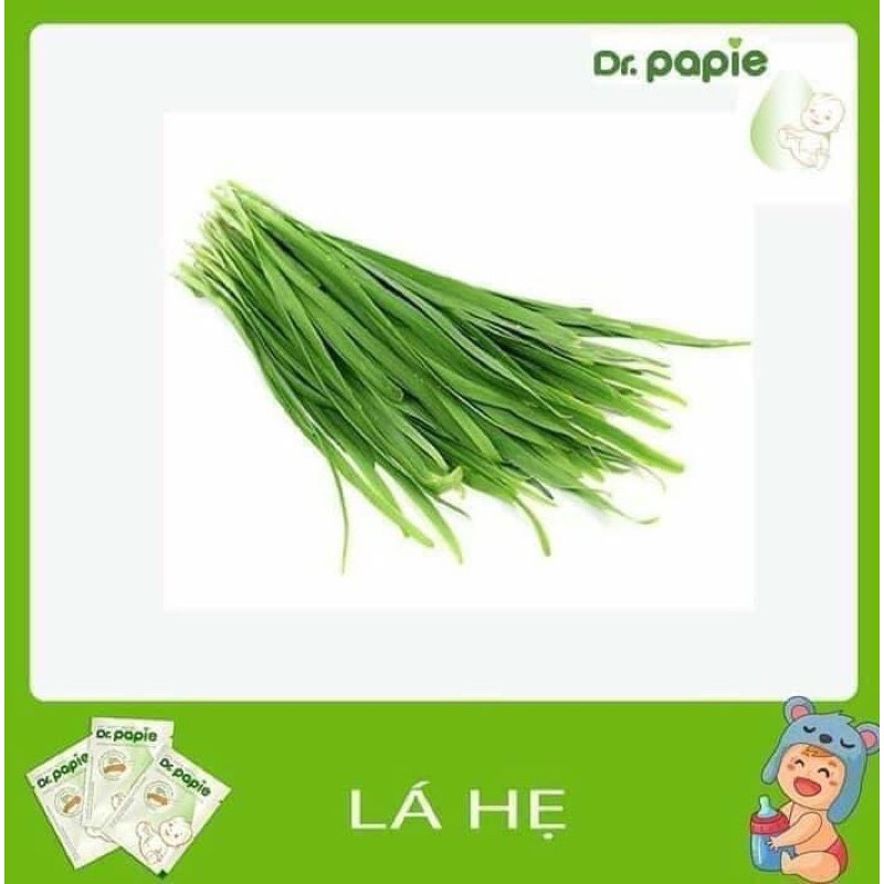 Gạc răng miệng DR Papie 30gói