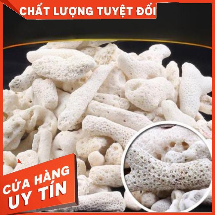 San hô lọc nước 10000/1kg