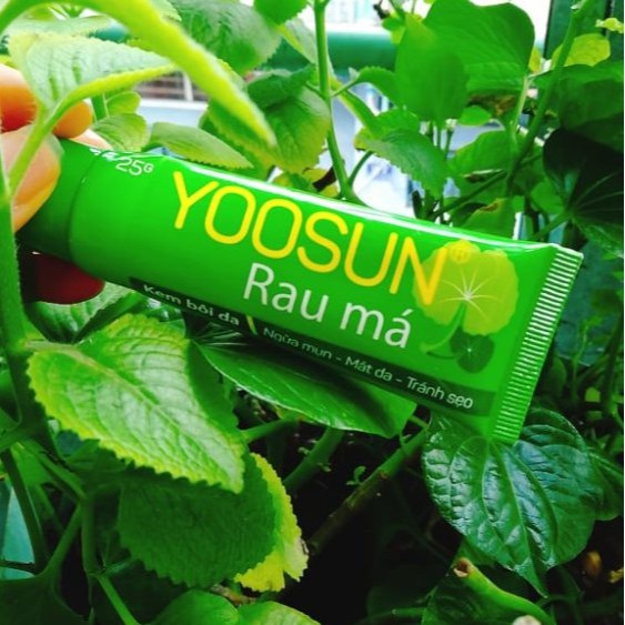 COMBO 2 LỌ YOOSUN RAU MÁ – HỖ TRỢ LÀM LÀNH DA, GIẢM HĂM, LIỀN SẸO (25G)