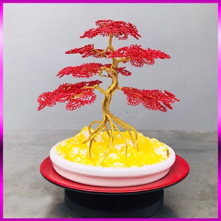 Cây bonsai mini - hàng thủ công 100% a18