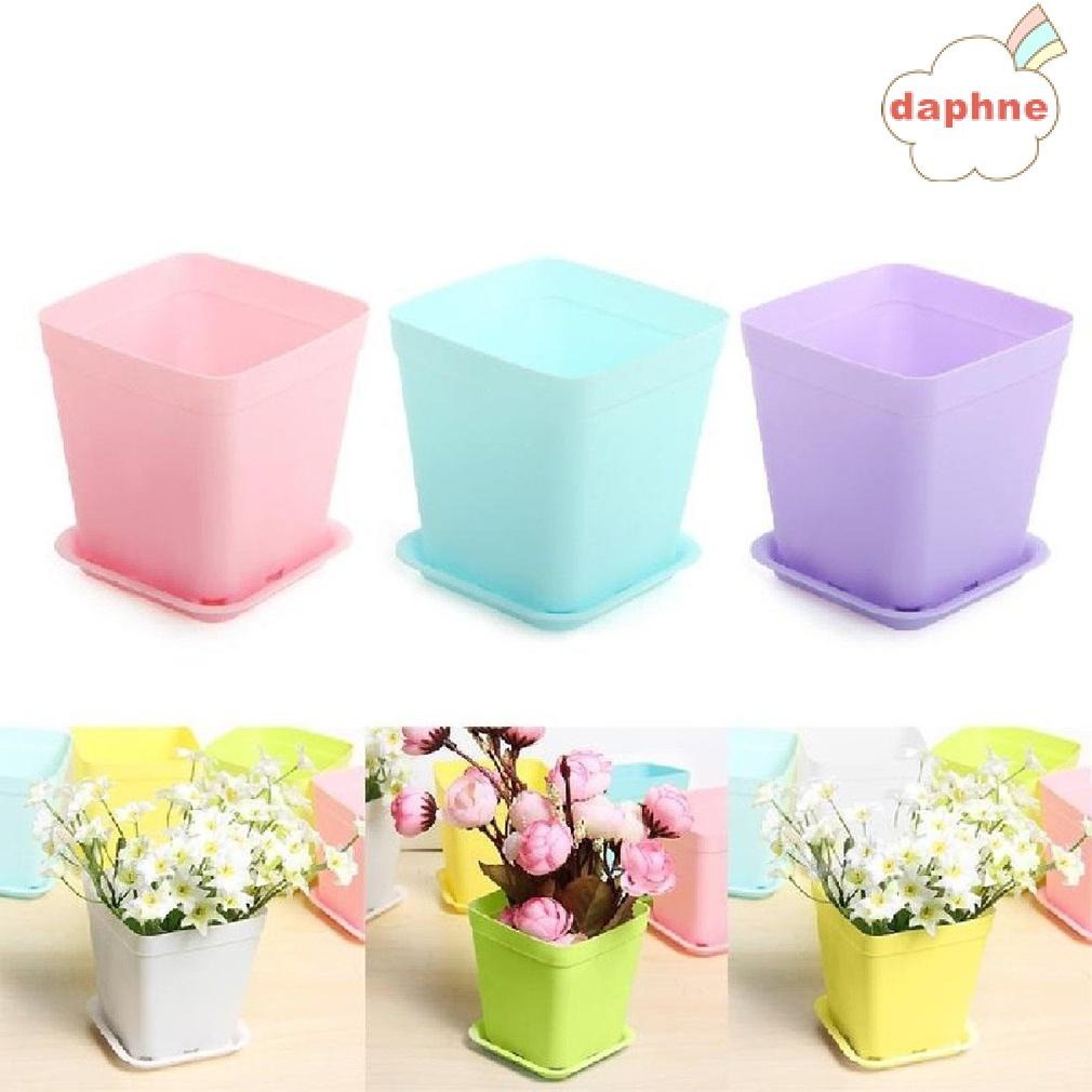 DAPHN Home Living Store