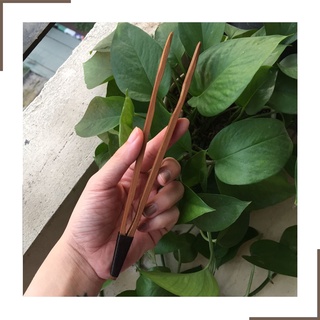 Trà Cụ Dụng Cụ Gắp Chén Trà