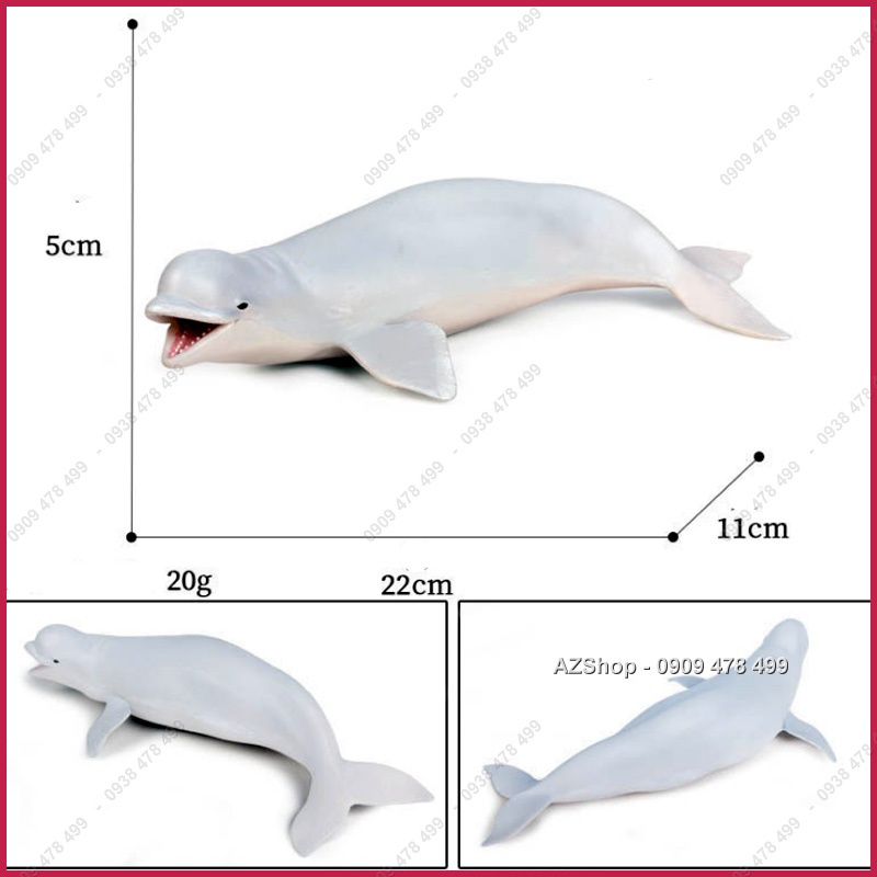 Mô Hình Cá Voi Trắng Beluga - 18-22cm -  Thế Giới Động Vật - 7673.9