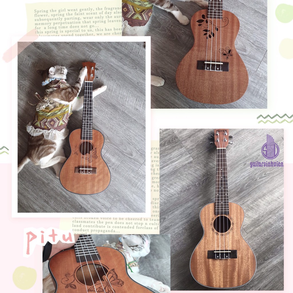 Ukulele concert 23 gỗ - Tặng bao da và phụ kiện - Tặng 3 sticker xinh xắn - Bảo hành 1 năm