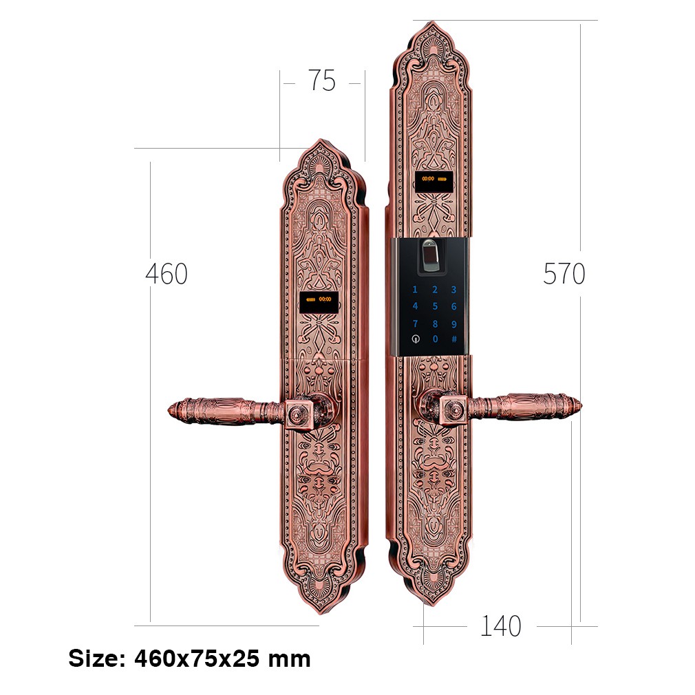 Khóa vân tay 5ASYSTEMS DK6000