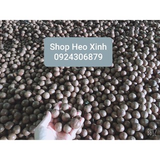 Hạt Macca  (mắc ca) Tây Nguyên 500gr