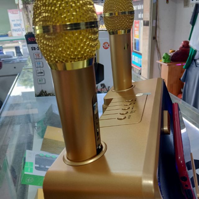 Loa hát karaoke SD-301.kèm 2 mic hát song ca tuyệt vời.